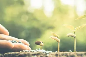 我们日常生活需要的8种能力图片