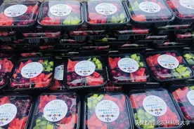 再品一回科研成果：园艺学院发放科研成果送别毕业生图片