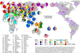 和辰观点：世界人种基因图谱图片