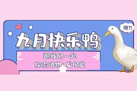 天鹅湖动物基地、海之语海洋世界九月特惠|门票8折！邀您走进野生动物世界~图片