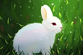 忆童年——八零后儿时听过的民间故事「第二篇」（千年黑万年白）图片