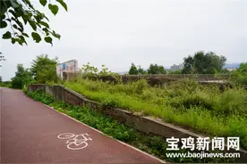 一座跨河桥为何不让行人通行？宝鸡市住建局答复来了图片