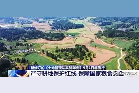 土地新规：五种情况下建房，要被拆，还要罚，每平方米罚款1000元图片