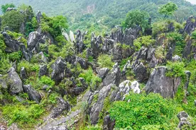 广西贺州玉石林，已有一亿多年，说是汉白玉，外表却是黑色的图片