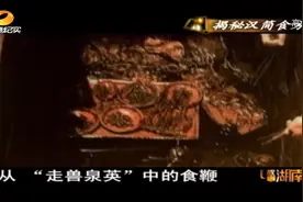 马王堆出土竹简翻译成难题，请教中医专家竟有重大突破视频封面