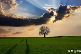 培训机构定价策略：涨价需谨慎，提价有套路图片