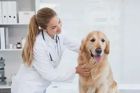 狂犬病是一种严重性与危害性都极其高的疾病！建议大家合理打疫苗图片