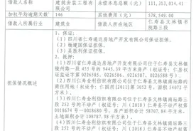 浦发银行两分行发布不良贷款转让公告，不良贷款处置今年将呈上升趋势图片