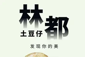 土豆仔的成长日记图片