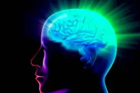 意识是怎么来的？美国科学家的研究接近尾声，意识并非只属于人类图片