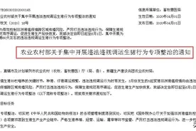 仔猪调运接二连三出状况，新形势下养殖户该如何正确补栏复养？图片