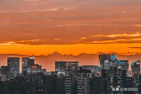 不要看成都风平浪静，其实我们不停地在划着水图片