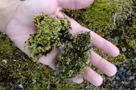 23个前后对比强烈的照片，时间的力量，让人大开眼界图片