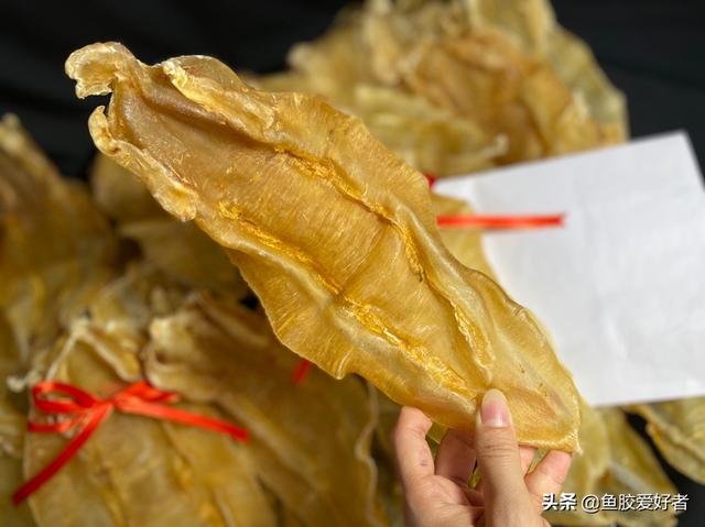 北海鱼胶的功效 苏里南北海鱼胶的功效