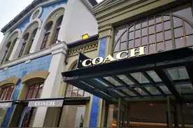 业绩下滑、服装质检不合格，曾备受追捧的蔻驰如今不“香”了？图片