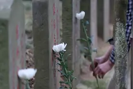 86年，无名墓碑，无私守护……图片