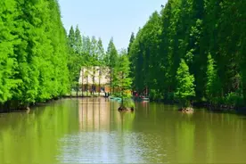 淮安的公园广受欢迎，是大型森林综合体，门票60元图片