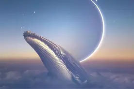 一鲸落成就万物生，为何最浪漫的死亡成就了生态系统？图片