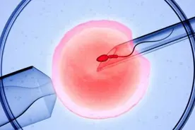 做“试管”求子后，却生了女双胞胎，55岁男子怒索赔26万图片