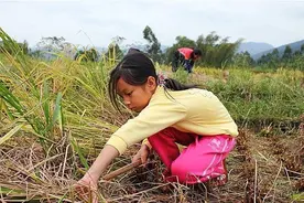 瘸腿姐姐抚养弟弟长大，弟出人头地后举办婚礼，姐姐却死活不参加图片