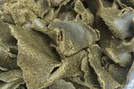 菜籽饼被誉为果园之宝，但用错了烧苗烧根，果农如何来使用？图片