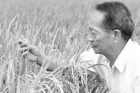 袁隆平年轻时一心研究水稻，33岁仍然单身，遇良人后，1个月闪婚图片