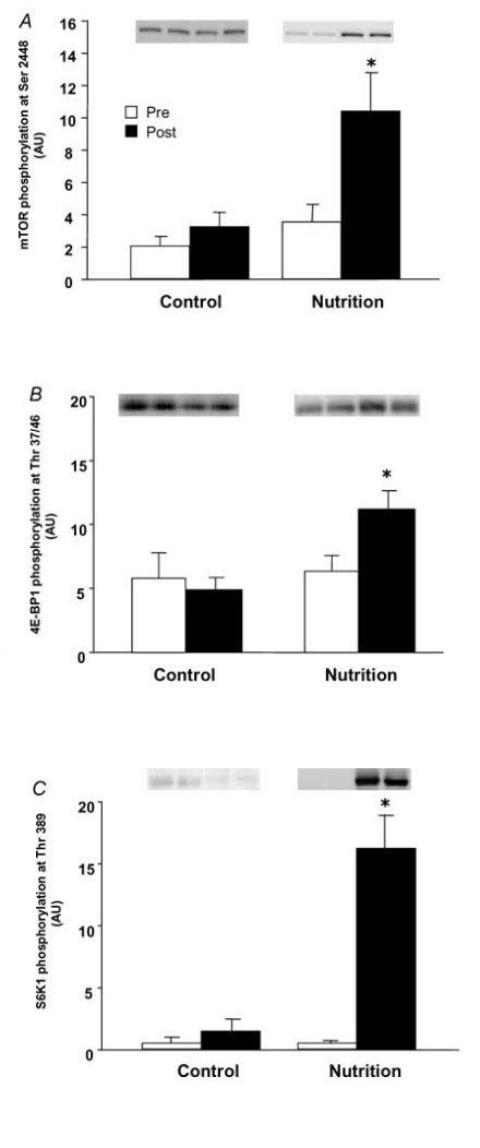不健身直接吃蛋白粉会怎么样？