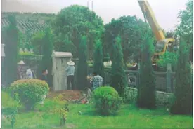 淮北：发出检察建议，对无名烈士墓地修复平整图片
