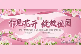 沈阳世博园的郁金香花海来了！白衣天使免费还有礼！图片