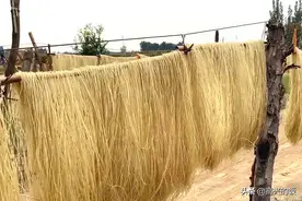 一掰就断，才是真红薯粉？记住“1折2摸3闻”，假粉条立刻现身图片