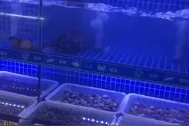 吉林一女子饭店内点活鱼，吃完后下楼一看气坏了：鱼还在缸里图片