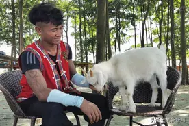 扎根清新的云南小哥有只“网红”羊！会钻花圈，还能走独木桥......图片