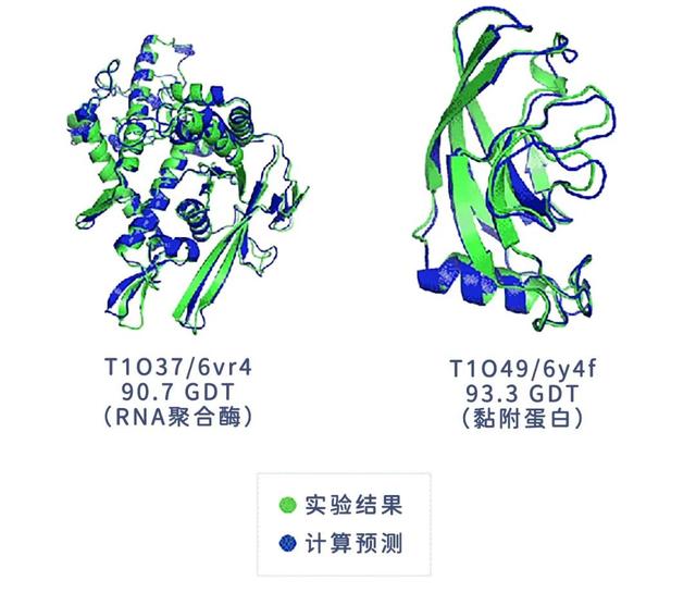 生物学的一个基本大问题迎来重大突破