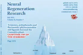 《中国神经再生研究（英文版）》杂志2021年第7期最新目次图片
