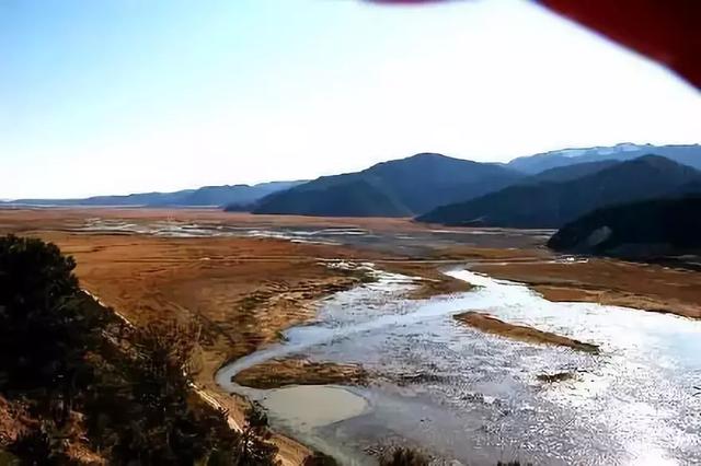 弱水三千只取一瓢饮的含义（弱水三千）