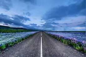 怎样写好视频简介才能吸引人呢？图片