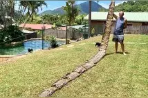 10米巨蟒真的存在？世界上最大的蟒蛇多长？温度上升出现新品种图片