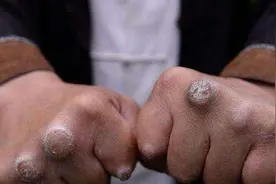 那么多“武打”明星，却只有4位高手有拳茧，网友：这才是真功夫图片