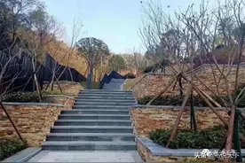 巨稀罕！岳麓山小高层！博才小学！8550元/㎡封顶！最后一栋图片