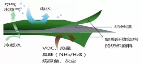 畜禽养殖场固体粪便处理工艺知多少？快看看哪些适合你的场