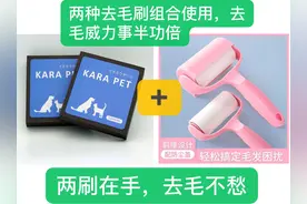 宠物掉毛，铲屎官粘毛怎么办？亲测三款粘毛利器，推荐给需要的你图片