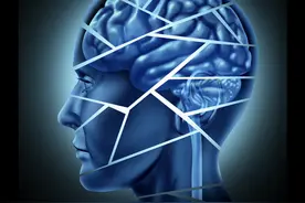 人类进步的底层——求知欲图片