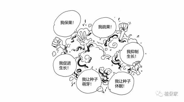 植物生长调节剂大总结,九成的人不知道有这么多种类和作用!
