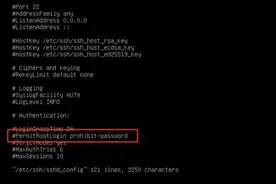 确保Debian 10.8系统不被入侵及恶意攻击，安全高效.图片