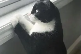 宝宝和猫咪形影不离，沟通也无障碍，难道他们都是从喵星来的？图片