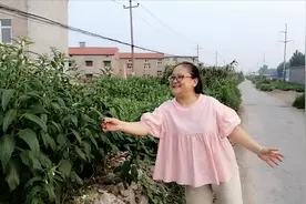 你知道为什么说芝麻开花节节高吗？我带你到芝麻地里看看就明白了图片