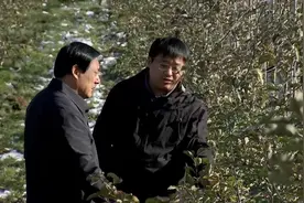 一个苹果卖15元！河南小伙种苹果有妙招，一年卖出4300万元图片