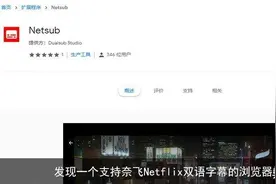 发现一个支持奈飞/Netflix双语字幕的浏览器插件图片