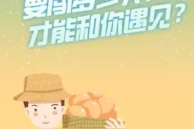 从一株苗到一颗薯：要闯多少关，才能和你遇见？图片