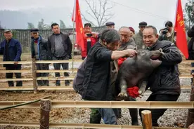 农村“后备”村干部如何选？4种人被推荐，年龄有限制！你选谁？图片